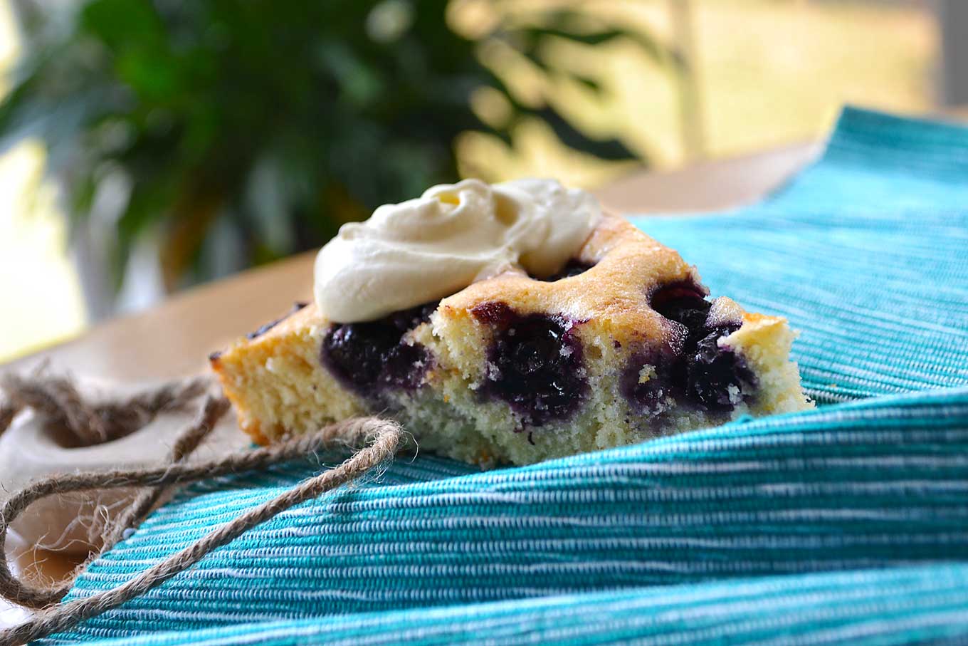 blueberry cake | rusticplate.com